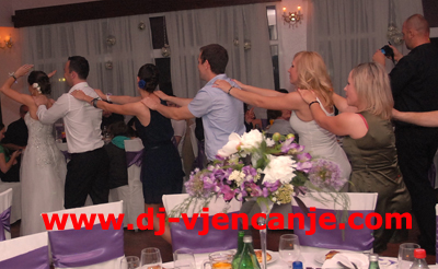 Dj Vjenanja 